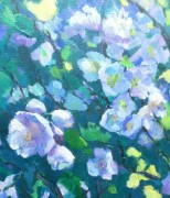 Виктория Гальцова