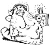 Гаврилов Александр