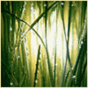 Александр Никитин