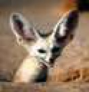 Шумилов Дмитрий